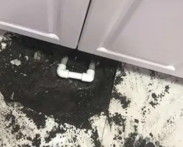 伽师查漏水哪家好